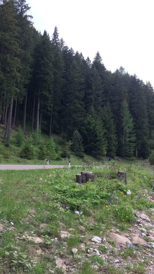 Casa A Pie Di Pista Lägenhet Tesero Exteriör bild