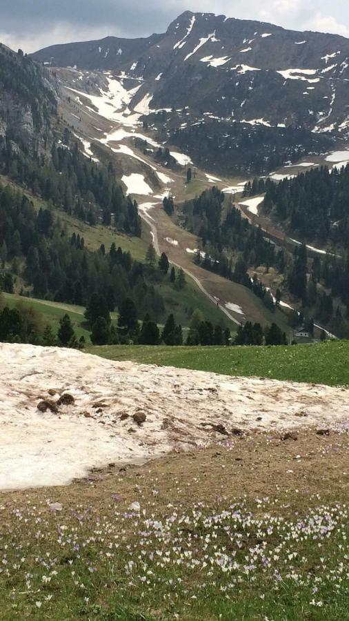 Casa A Pie Di Pista Lägenhet Tesero Exteriör bild