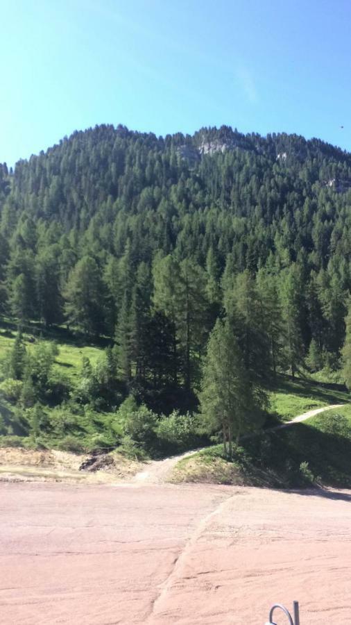 Casa A Pie Di Pista Lägenhet Tesero Exteriör bild